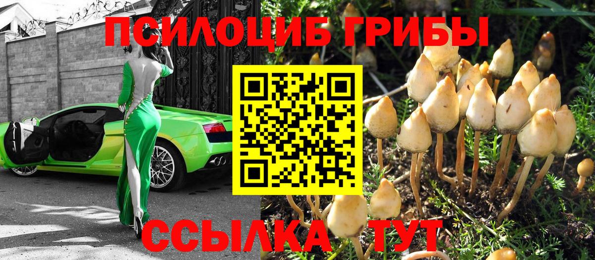 Галлюциногенные грибы MAGIC MUSHROOMS Чапаевск